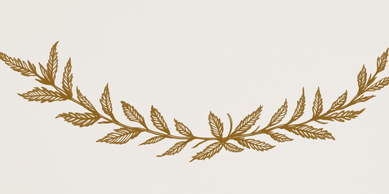 A drawing of a laurel garland lying in a curve, in gold line on pale paper.