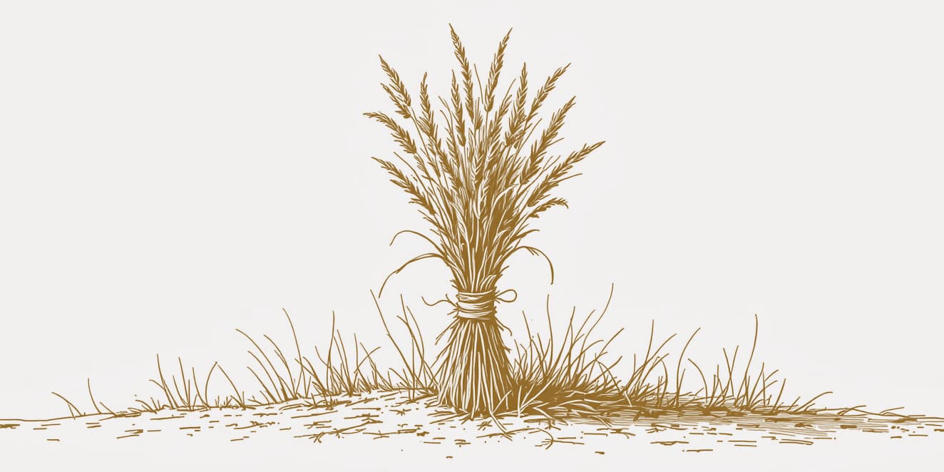A drawing of a tied sheaf of dried grass standing upright, in gold line on pale paper.